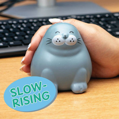Chonky Seal