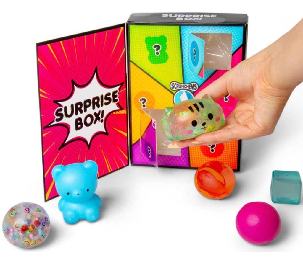 Scrunchems Surprise Box
