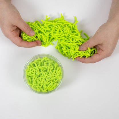 Science Museum Wriggle Worms