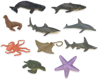 Ocean Life Surprise